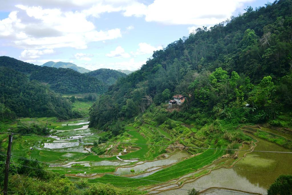 Banaue Greenfields Inn Exteriör bild